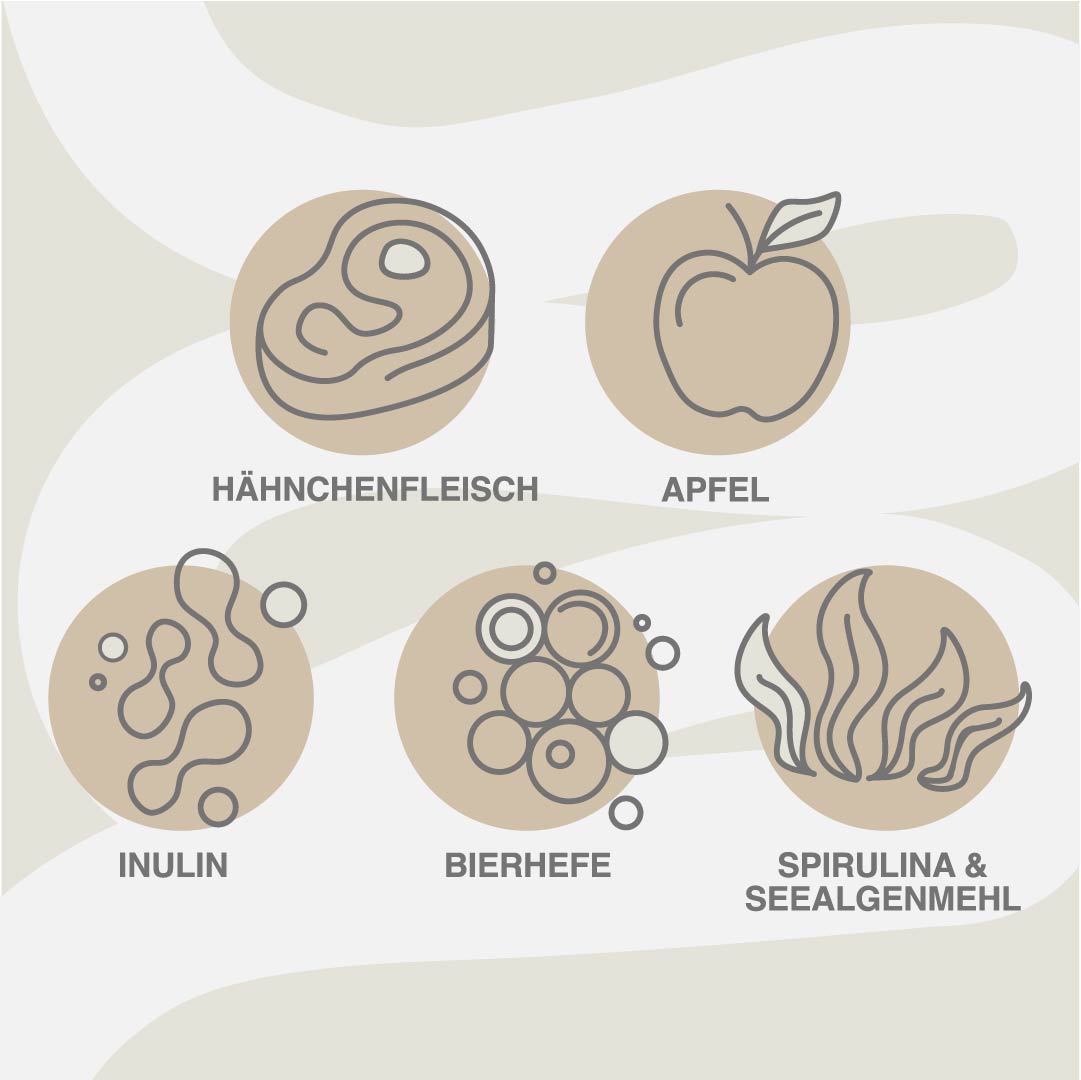 Superfood Softies Huhn