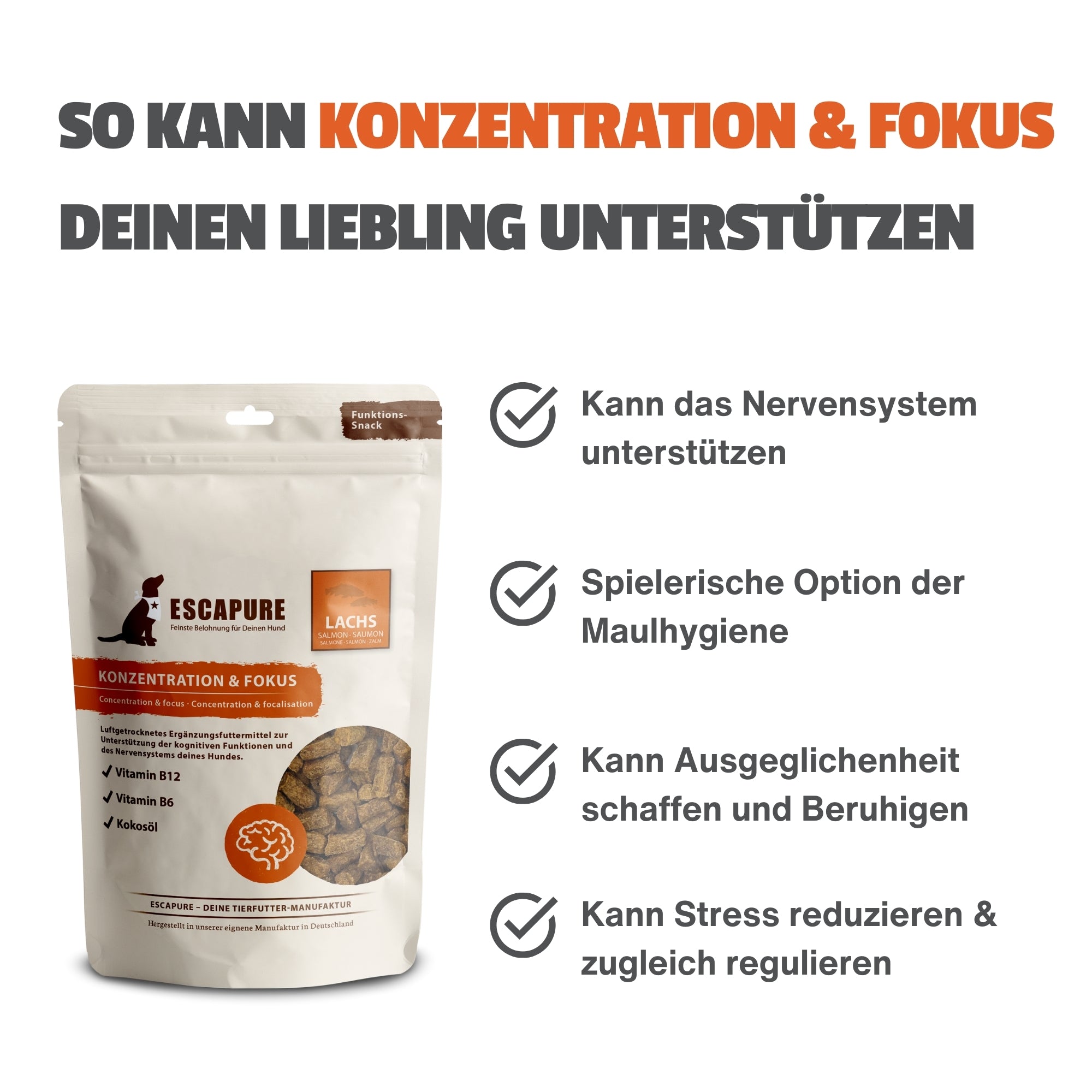 Konzentration & Fokus